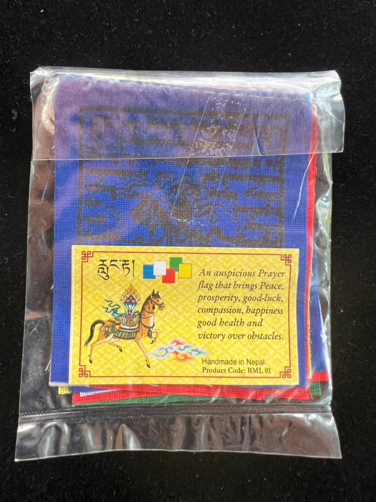 Tiny Windhorse Tibetan Prayer Flags | 2.7in x 3.3in | 1 set of 10 flags | Nepal | Lung Ta