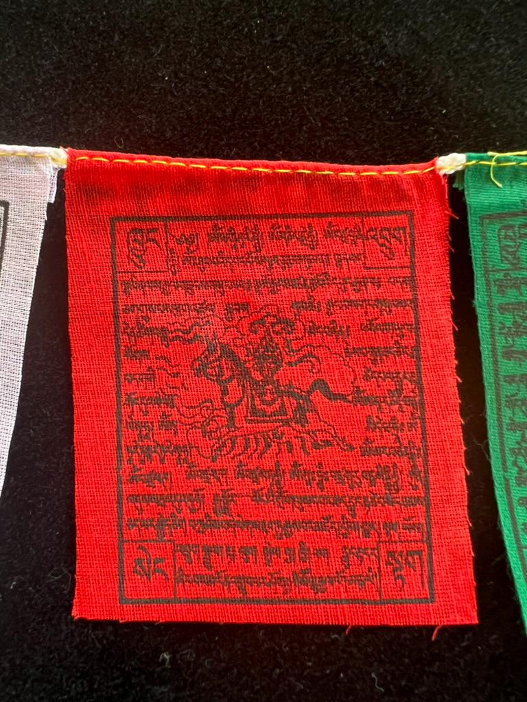 Tiny Windhorse Tibetan Prayer Flags | 2.7in x 3.3in | 1 set of 10 flags | Nepal | Lung Ta