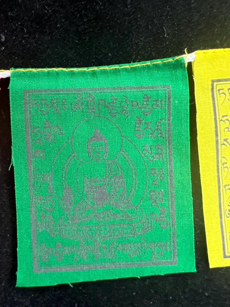 Tiny Medicine Buddha Tibetan Prayer Flags | 2.7in x 3.3in | 1 set of 10 flags | Nepal |