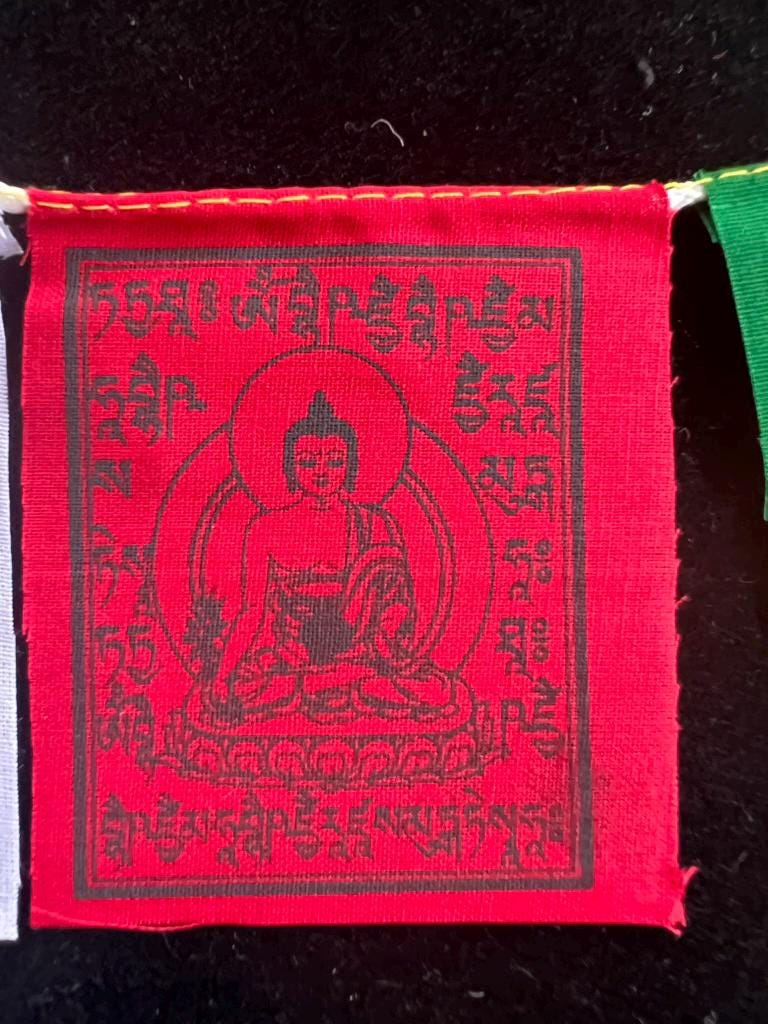 Tiny Medicine Buddha Tibetan Prayer Flags | 2.7in x 3.3in | 1 set of 10 flags | Nepal |