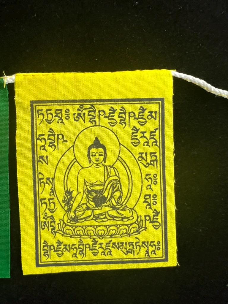 Tiny Medicine Buddha Tibetan Prayer Flags | 2.7in x 3.3in | 1 set of 10 flags | Nepal |