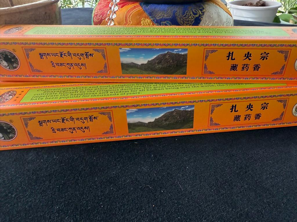 Guru Padmasambhava Holy Land Medicinal Incense | Tibet | 35 sticks | 9.5 inches long