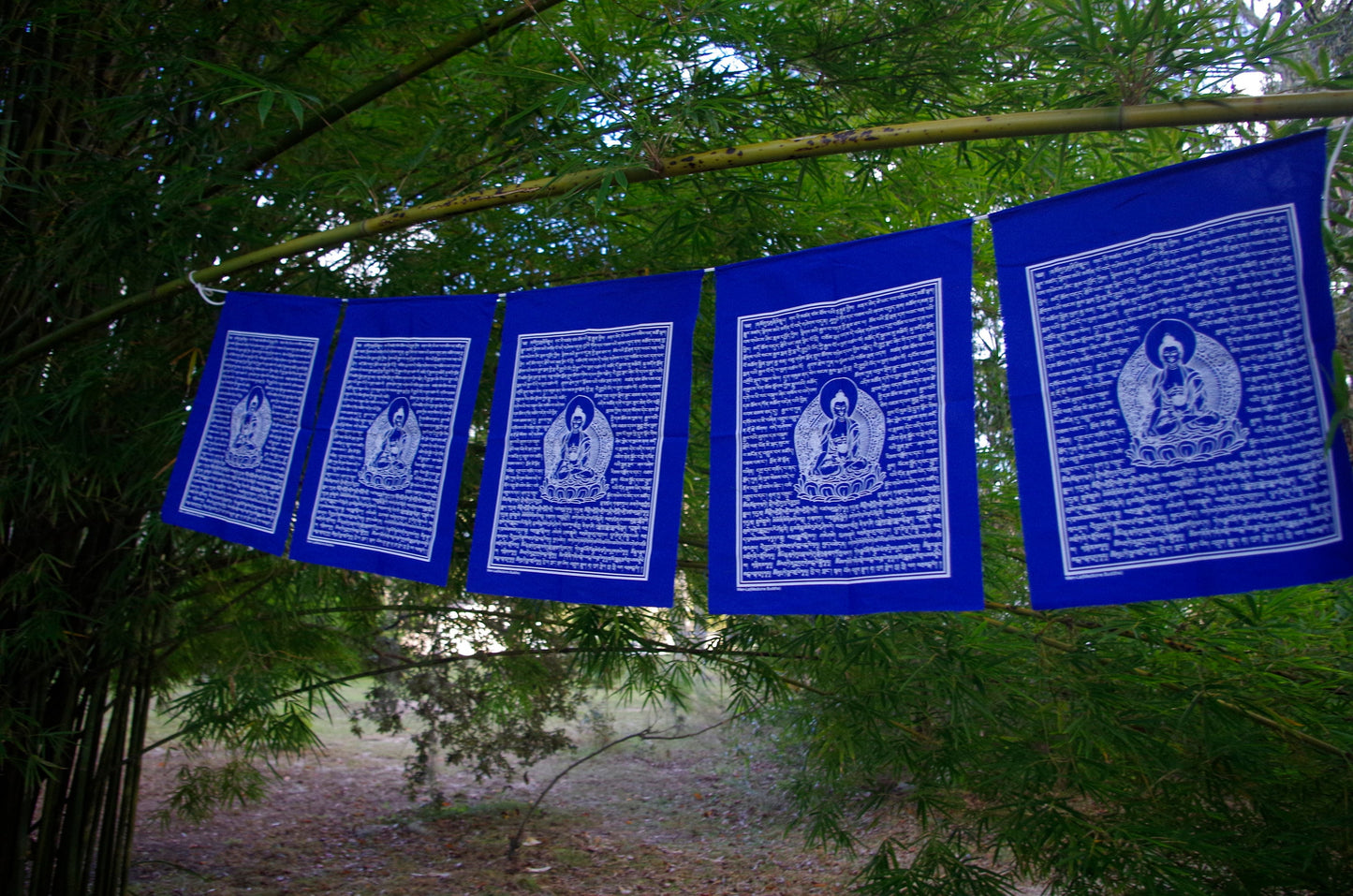 Medicine Buddha | Tibetan Prayer Flags | 14 x 17 | Set of 5