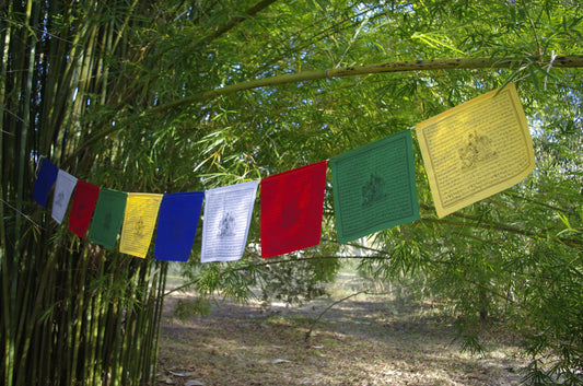 A set of 10 Tibetan prayer flags in five colors, highest quality and measuring 10x10 inches. Imprinted in black ink with the revered image of Green Tara, the female Buddha of Compassion, outside.