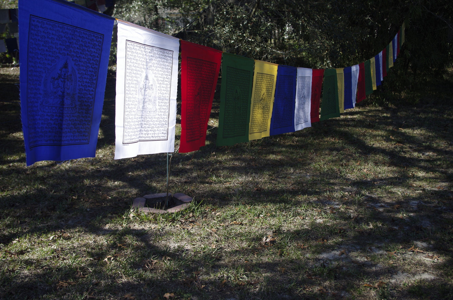 A strand of 25 Chenrezig prayer flags in 5 colors, each 14x17 inches, depicting the Buddha of Compassion hanging outdoors.