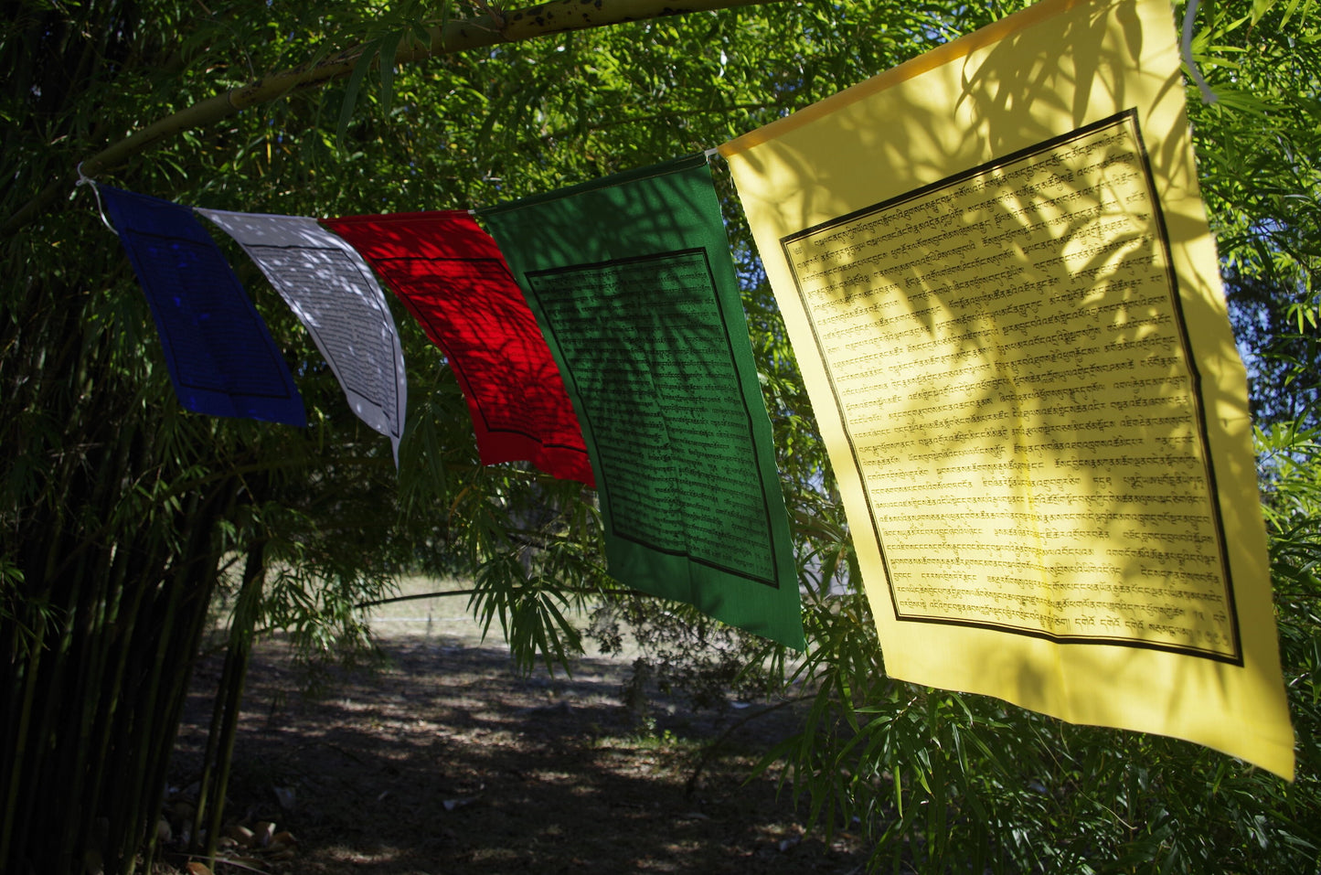 A beautiful display of one strand of 5 14&quot; by 17&quot; five-colored flags adorned with HH Chatral Rinpoche Prayer to Avert Nuclear War, hanging outdoors.