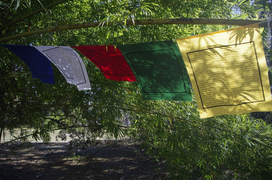 A beautiful display of one strand of 5 14&quot; by 17&quot; five-colored flags adorned with HH Chatral Rinpoche Prayer to Avert Nuclear War, hanging outdoors.