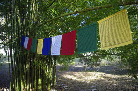A beautiful display of one strand of 10 five-colored flags adorned with HH Chatral Rinpoche Prayer to Avert Nuclear War, hanging outdoors.