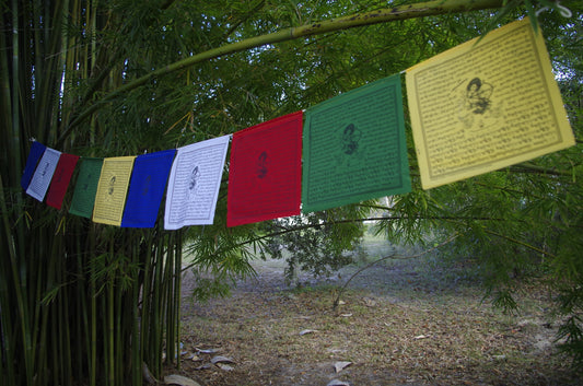 Wangdü Soldep  Prayer Flags | Tibetan Prayer Flags| 10in x 10in | 1 set of 10 flags | The Great Cloud of Blessings