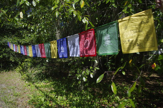 5 Deity | Tibetan Prayer Flags | 10 x 10 | Set of 25