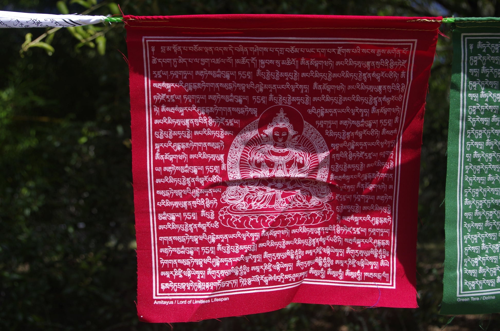 5 Deity | Tibetan Prayer Flags | 10 x 10 | Set of 25
