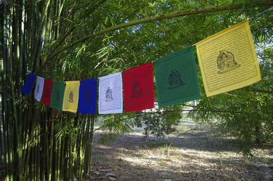 a strand of 10 -10 inch by 10 inch Dzambhala wealth deity prayer flags in five colors hanging outside under bamboo