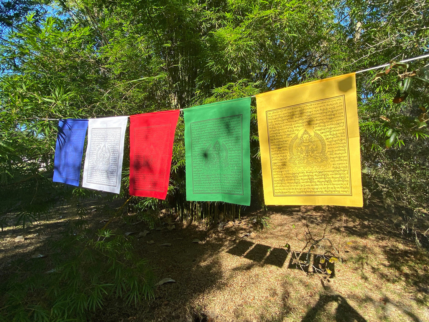 A set of 5 Amitayus prayer flags, The Buddha of Boundless Life hanging outside in dappled light, featuring blue, white, red, green, and yellow flags representing the five elements  spreading of abundant long life blessings in every direction.