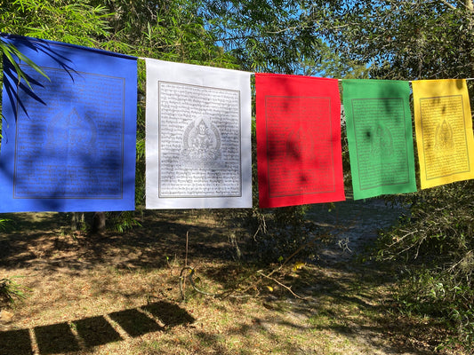 &quot;5 Amitayus Buddha prayer flags outside, with blue, white, red, green, & yellow flags representing 5 elements. Each flag 14x17&quot;.