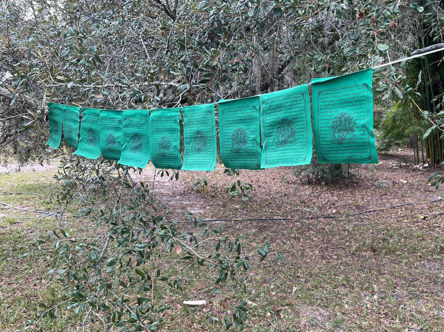 Set of 10 Green Tara flags on 10-flag strand. High-quality Tibetan prayer flags, 6x7.5&quot;, black ink,hanging outdoors