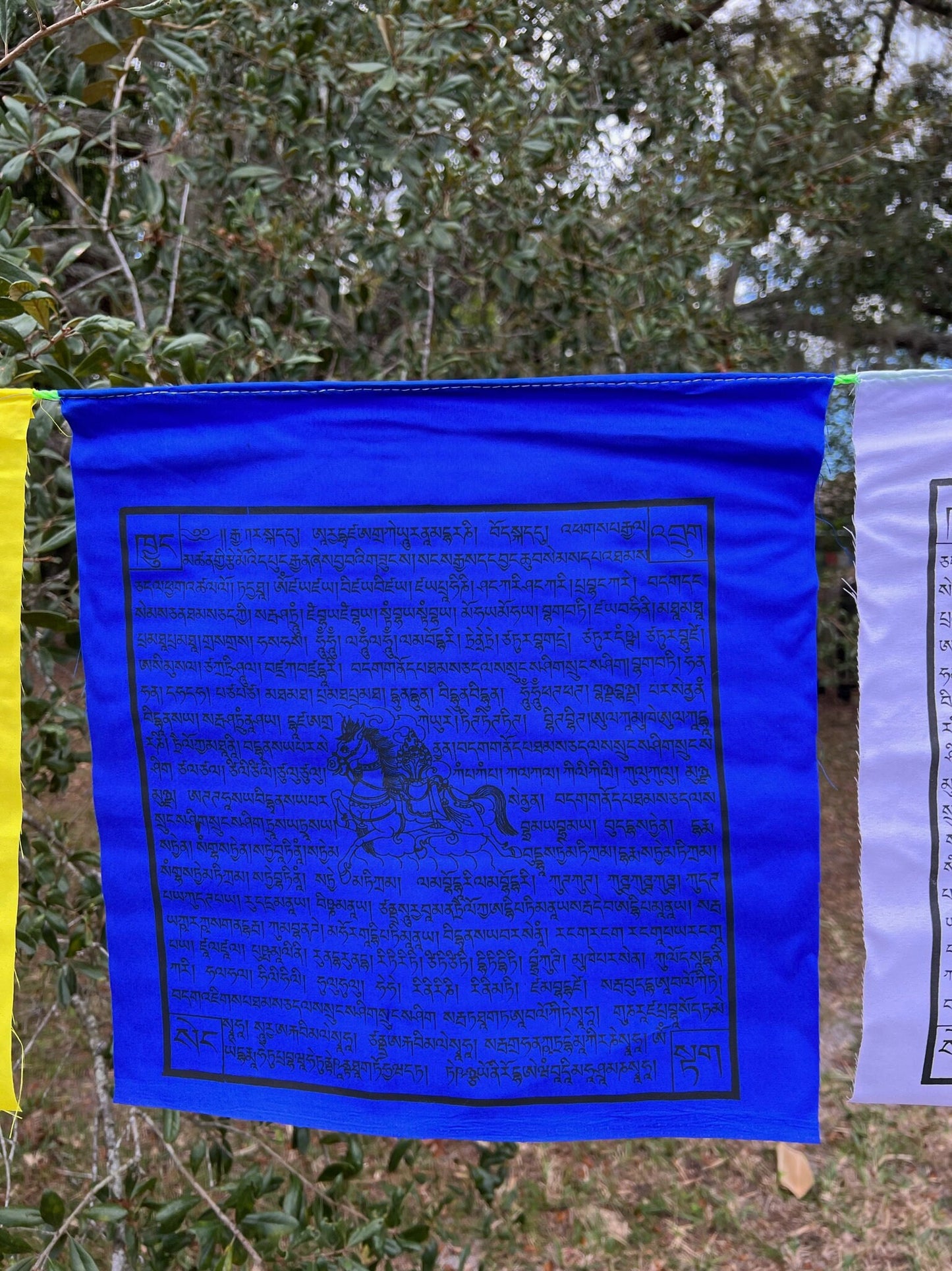 A single blue flag from a Set of 25 Tibetan prayer flags with Gyaltsen Tsenmö prayers and windhorse designs on 13x13 inch flags in 5 colors. Believed to bring success to virtuous endeavors.