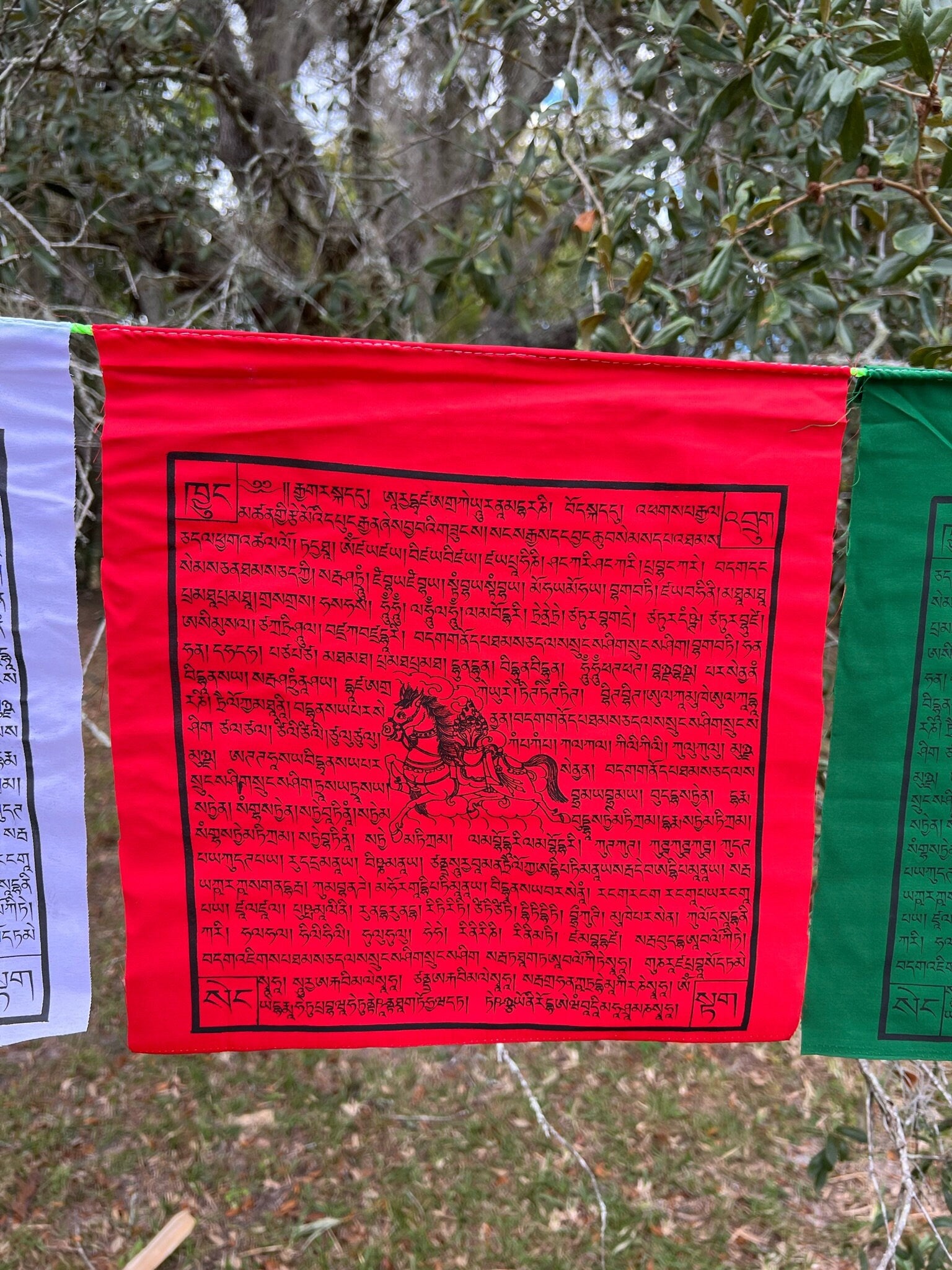 A single red flag from a Set of 25 Tibetan prayer flags with Gyaltsen Tsenmö prayers and windhorse designs on 13x13 inch flags in 5 colors. Believed to bring success to virtuous endeavors.