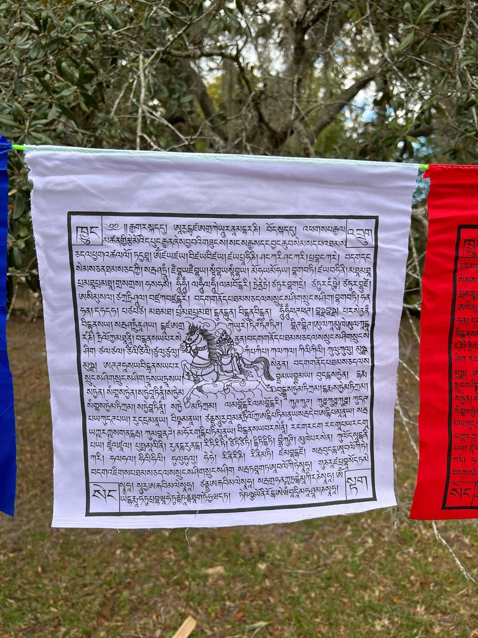 A single white flag from a Set of 25 Tibetan prayer flags with Gyaltsen Tsenmö prayers and windhorse designs on 13x13 inch flags in 5 colors. Believed to bring success to virtuous endeavors.