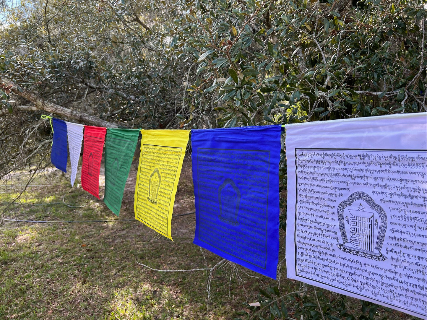 Shimmering strand of Kalachakra prayer flags, 13&quot;x13&quot; from a 25-flag strand. 5 colors, imprinted with prayers & 10-fold seed syllable.