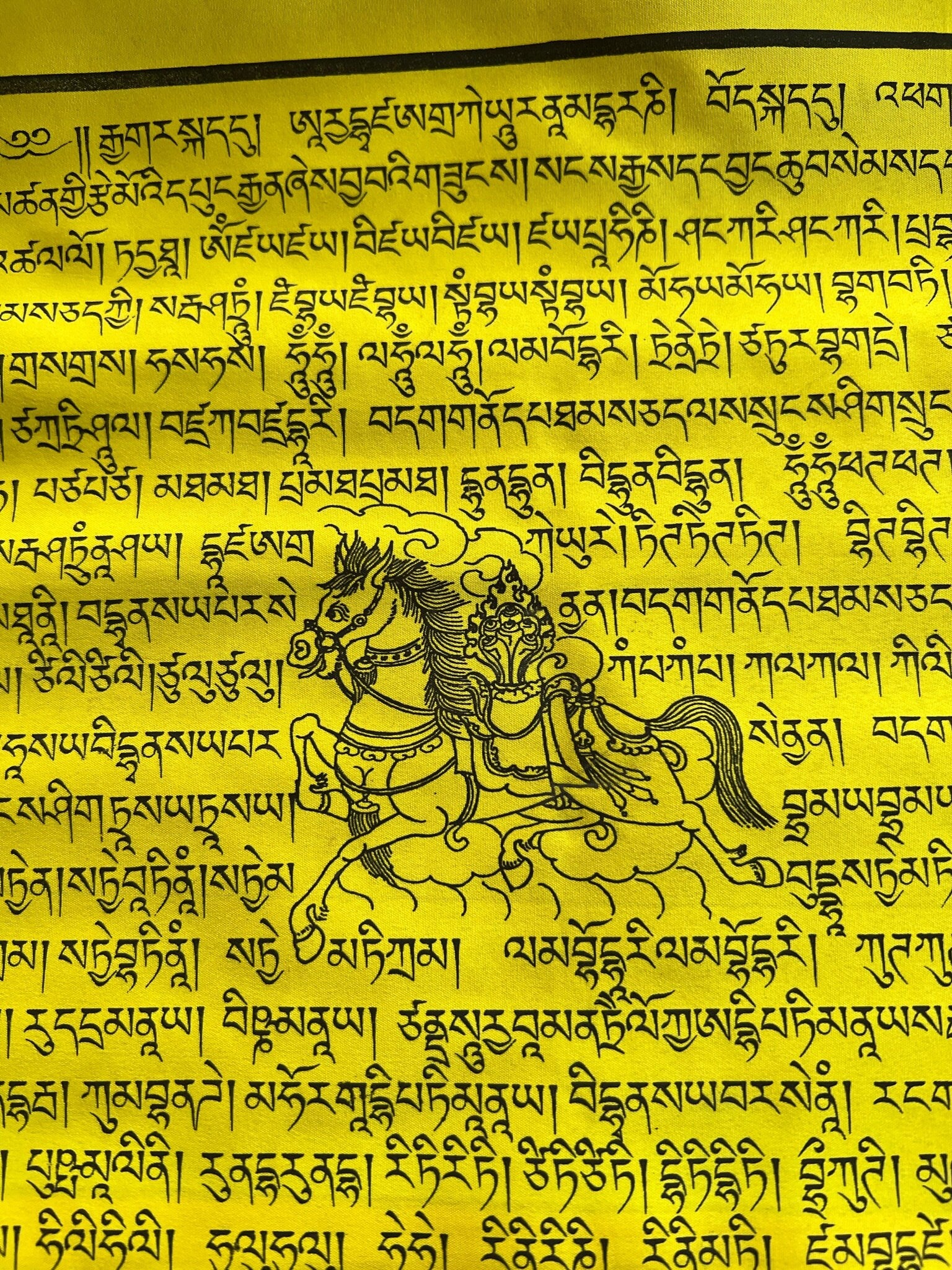 a close up from a set of 25 Tibetan prayer flags with Gyaltsen Tsenmö prayers and windhorse designs on 13x13 inch flags in 5 colors. Believed to bring success to virtuous endeavors.
