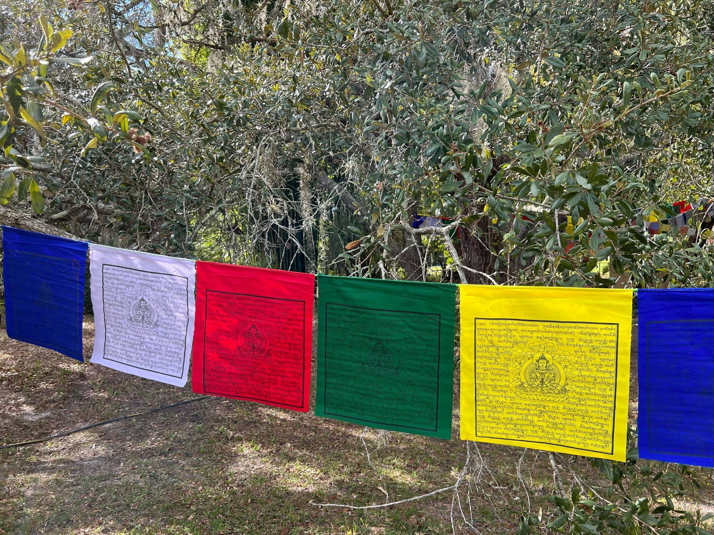 A vibrant segment of our 25-flag set of 13&quot;x13&quot; Amitayus prayer flags, showcasing colorful five-colored prayer flags, a beautiful sight to behold.