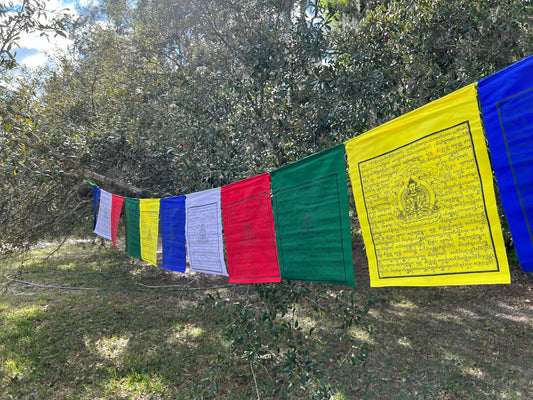 A segment of our beautiful 25 flag set of 13&quot;x13&quot; Amitayus prayer flags, featuring vibrant five color payer flags