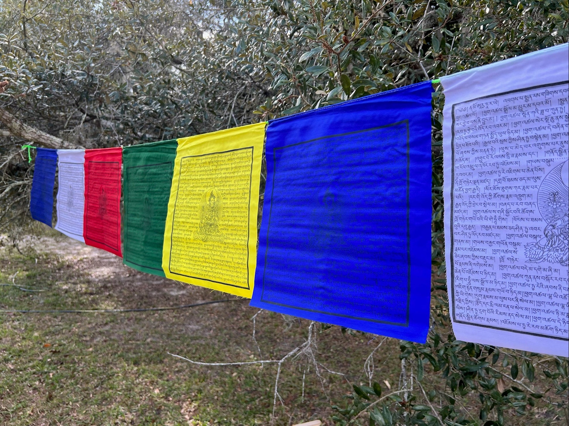 Green Tara | Tibetan Prayer Flags | 13 x 13 | Set of 25 | Jetsun Dölma