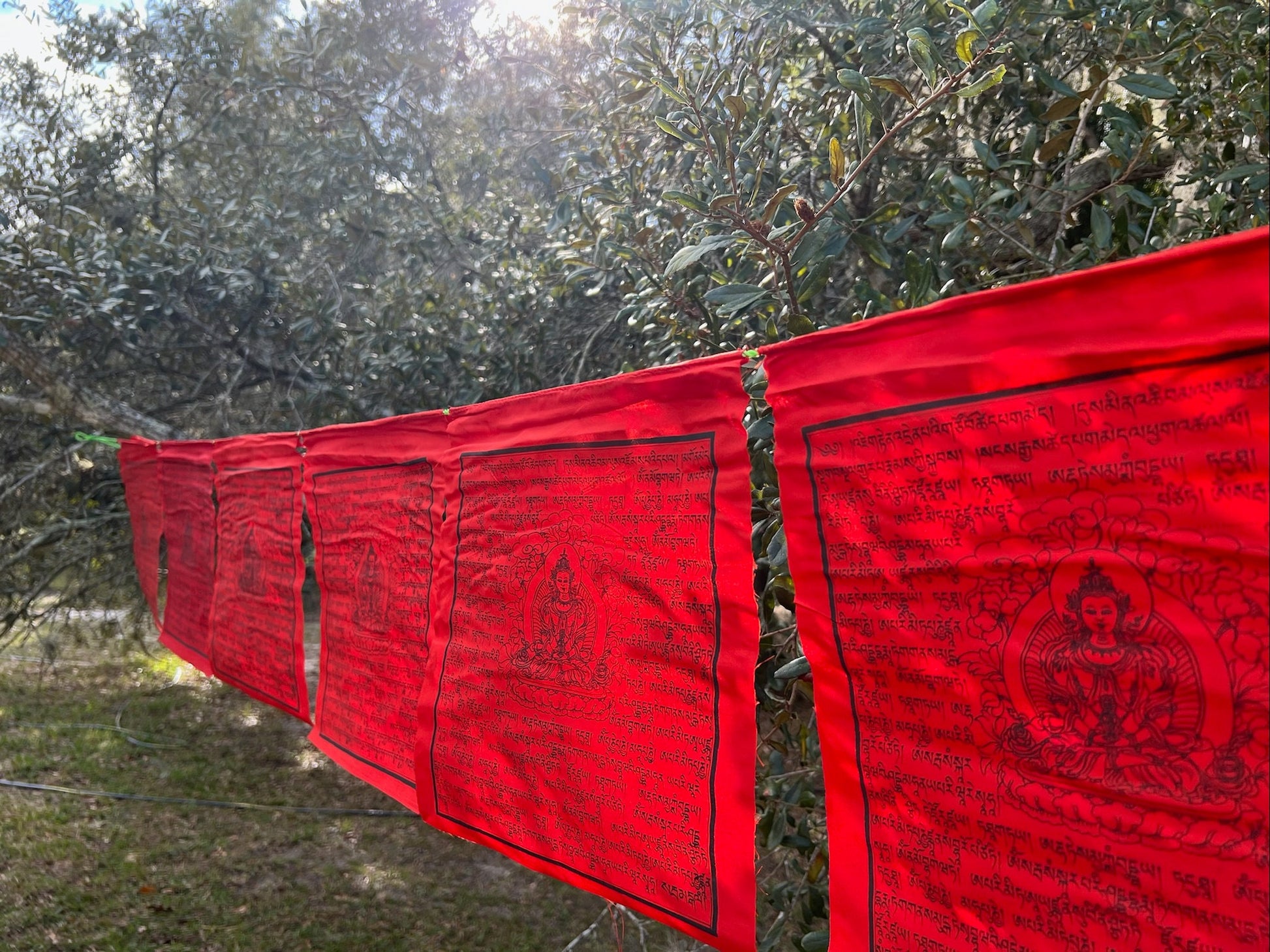 A segment of a 25 flag strand of vibrant all red Amitayus prayer flags hanging in the afternoon sun.