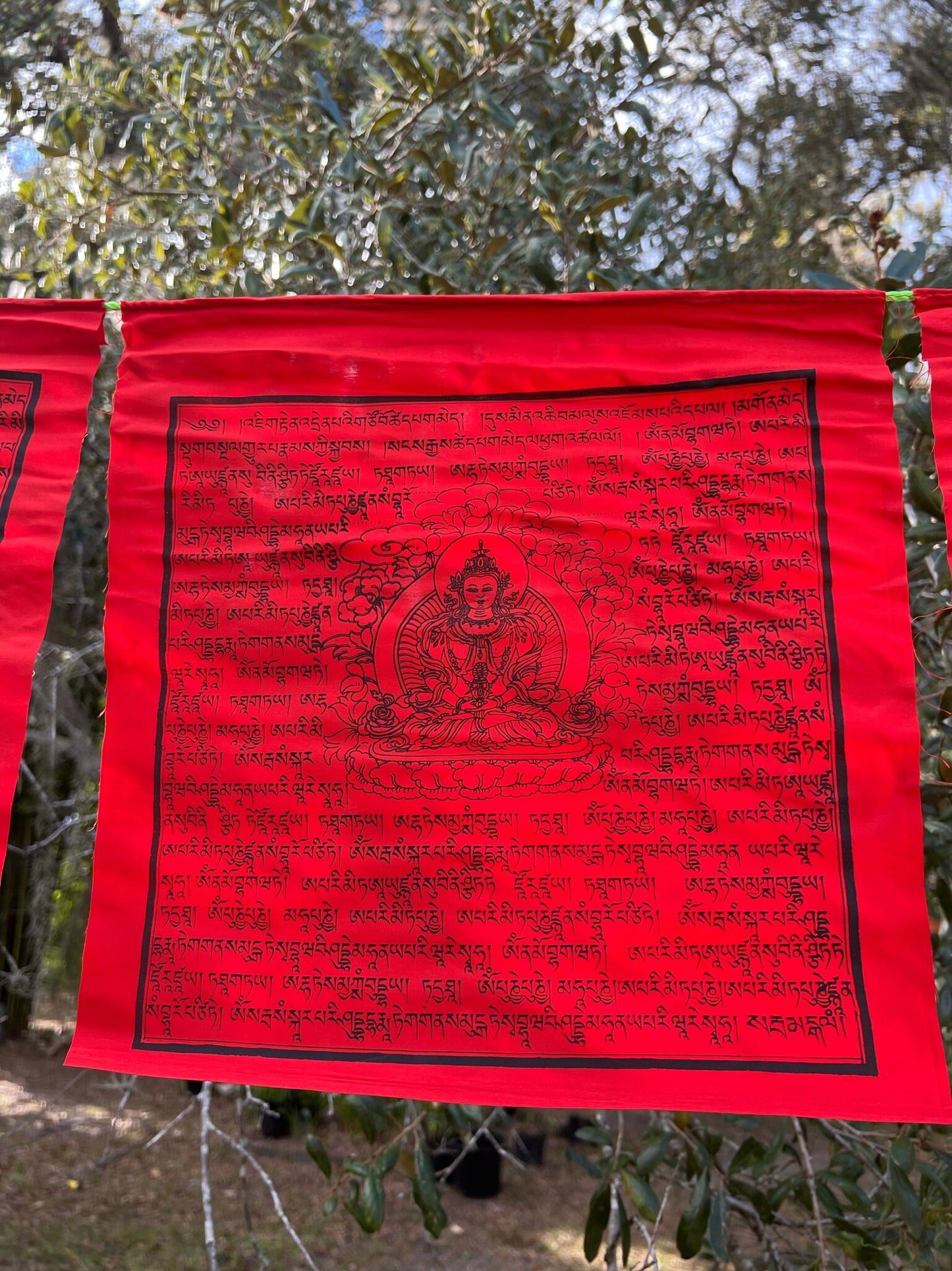 A single flag from a 25 flag strand of vibrant red Amitayus prayer flags hanging outside. Each of the flags are 13&quot;x13&quot;.